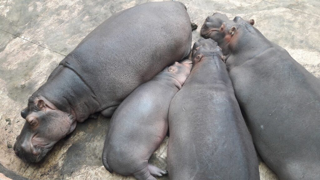 Wszyscy potrzebujemy odpoczynku